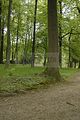 tannenfeld-sommer 2012-044